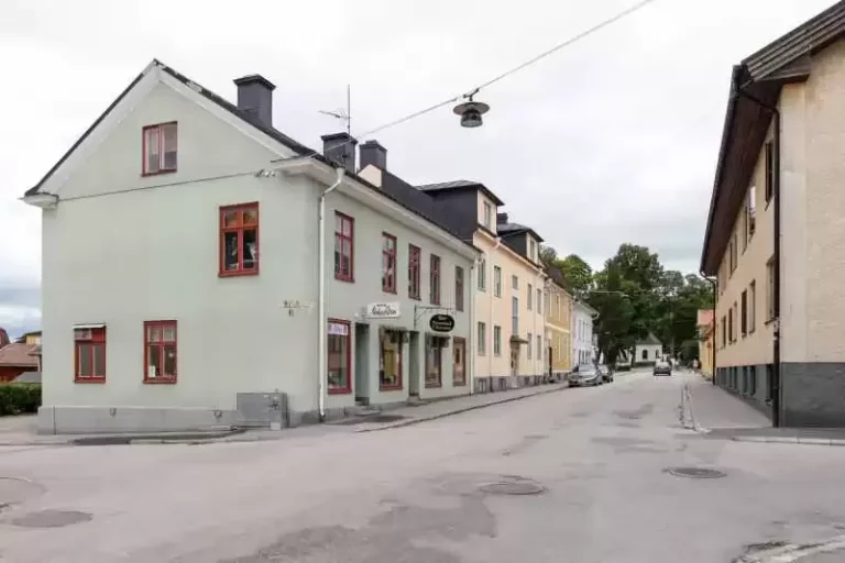 Takläggare i Flen