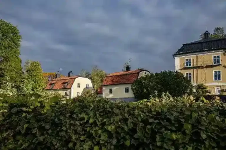 Takläggare i Ramnäs